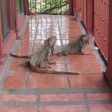 Costa Rica20150403-1832-0259